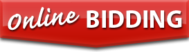 Online Bidding